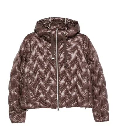Herno Quilted Cotton Jacket In Animal Print