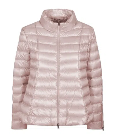 Herno Quilted Cotton Jacket In Multi