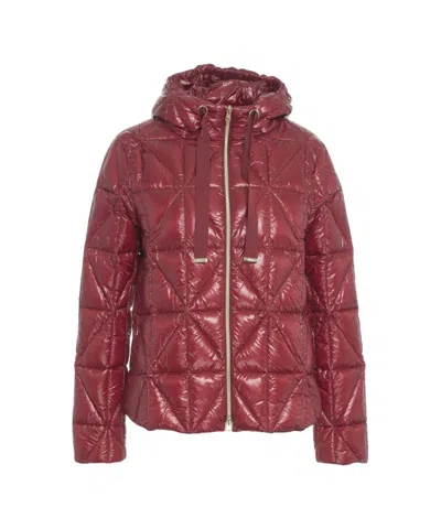Herno Quilted Down Jacket With Glossy Finish In Burgundy
