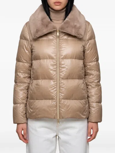 Herno Quilted Faux-fur Collar Jacket In Brown