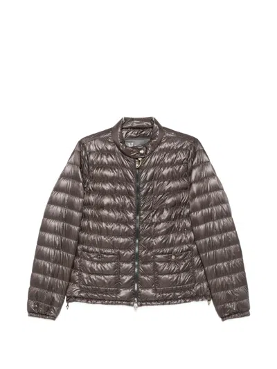 Herno Quilted High-neck Jacket In Burgundy