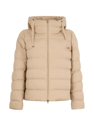 Herno Quilted Hooded Jacket In Brown