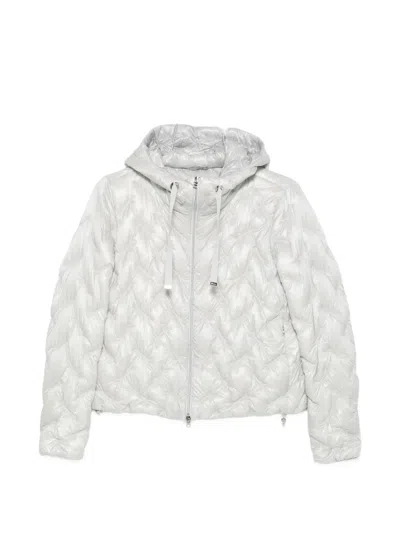 Herno Quilted Hooded Jacket In Multi