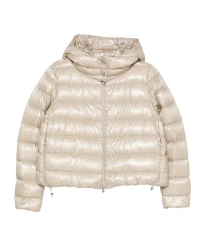 Herno Quilted Jacket In Animal Print