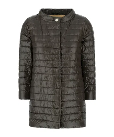 HERNO QUILTED JACKET
