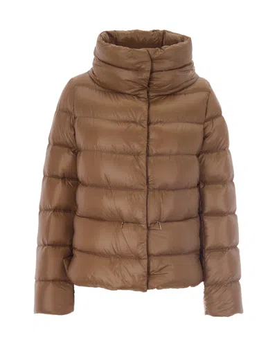 Herno Quilted Nylon Down Jacket In Brown