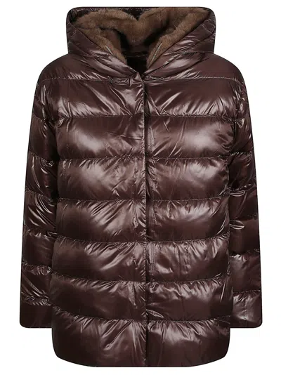 Herno Quilted Padded Down Jacket With Plush Hood And Cropped Silhouette In Transparent