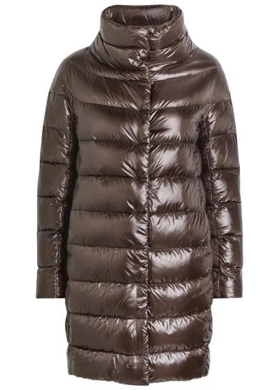 Herno Quilted Shell Coat In Brown