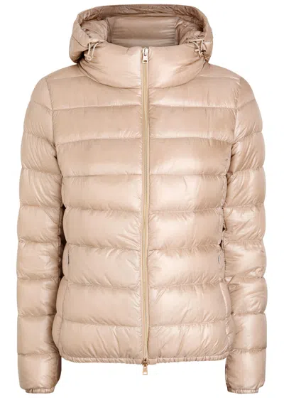 Herno Quilted Shell Jacket In Neutral