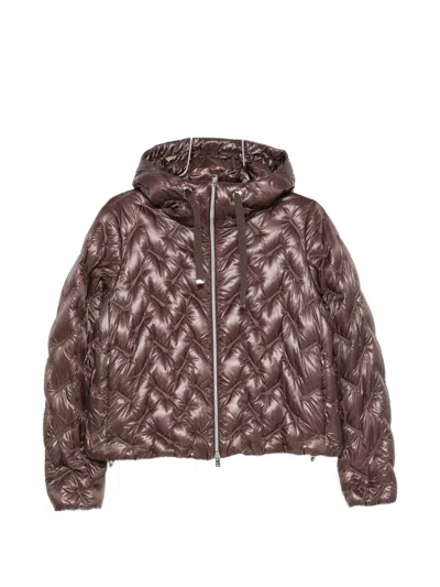 Herno Quilted Short Down Jacket In Brown