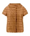 Herno Quilted Short-sleeved Down Jacket In Brown