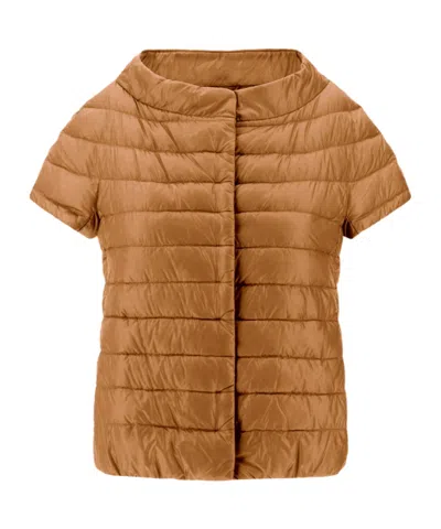 Herno Quilted Short-sleeved Down Jacket In Brown