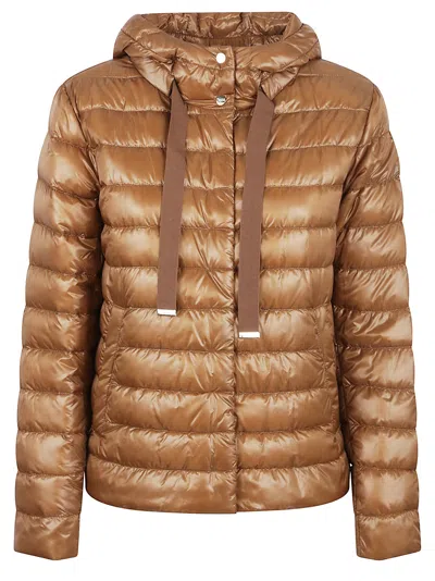 Herno Quilted Ultralight Nylon Padded Jacket In Brown