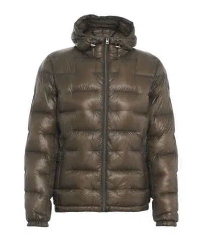 Herno Quilted Zip-up Hooded Jacket In Brown