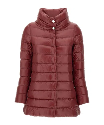 Herno Red In Brown