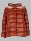Herno Parka Coat In Multi
