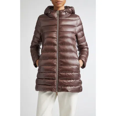 Herno Shiny Nylon Hooded Down Puffer Jacket In Brown