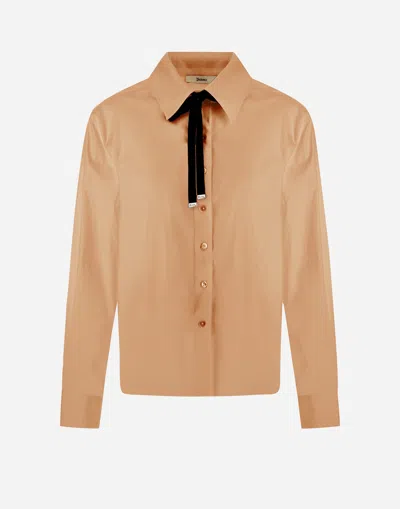 Herno コットン シャツ In Camel