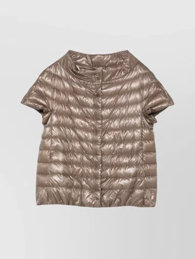 Herno Short Sleeve High Collar Quilted Jacket In Brown