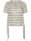 Herno Short-sleeve Puffer Jacket In Grigio Perla