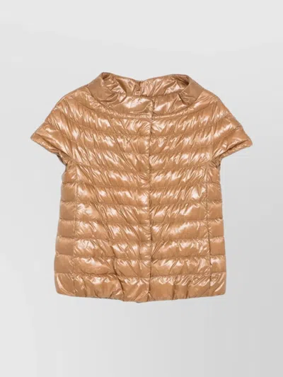 HERNO SHORT SLEEVE QUILTED JACKET WITH HIGH COLLAR