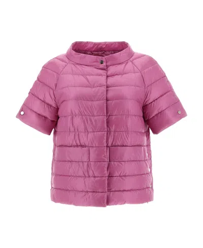 Herno Short Sleeved Padded Jacket In Pink