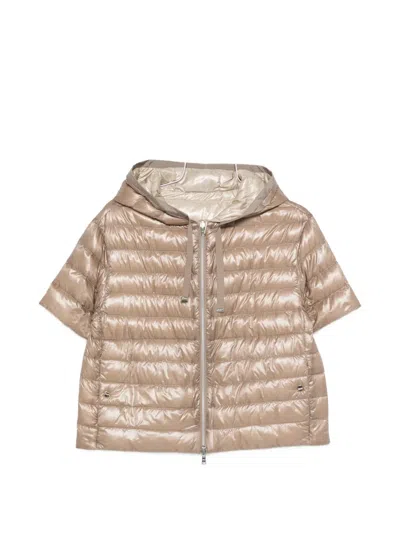 Herno Short-sleeve Hooded Jacket In Brown
