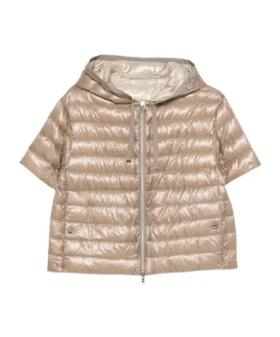 Herno Short-sleeve Hooded Jacket In Brown