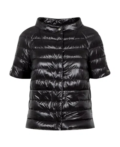 Herno Short-sleeve Padded Jacket In Black