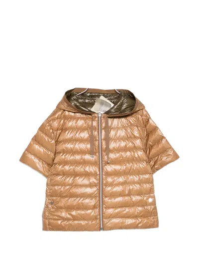 Herno Short-sleeve Padded Jacket In Brown