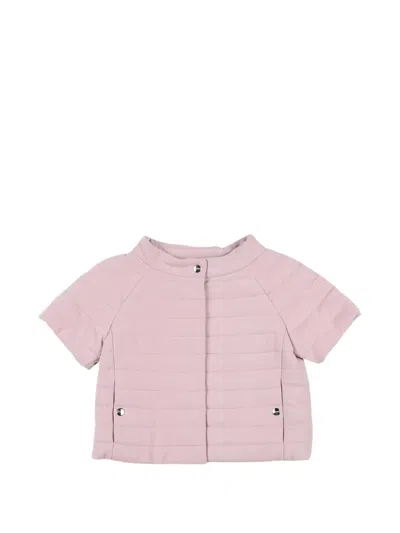 Herno Kids' Short-sleeve Padded Jacket In Pink