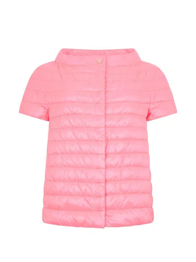 Herno Short-sleeve Puffer Jacket In Pink
