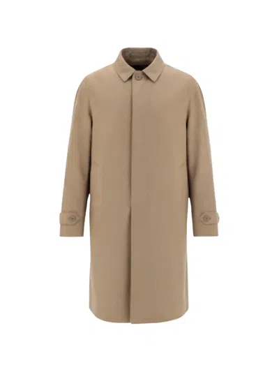 Herno Single-breasted Cotton Coat In Brown
