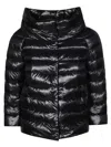 Herno Sleek Black Puffer Jacket With High Collar In Black