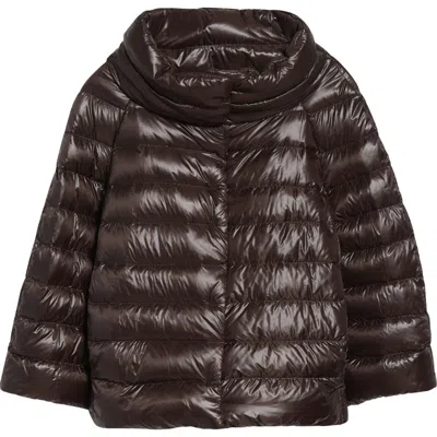 Herno Sofia Iconic Down Crop Puffer Jacket In Brown