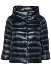 Herno Sleek Black Puffer Jacket With High Collar In Black