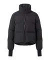 Herno Stand-collar Down Jacket In Black