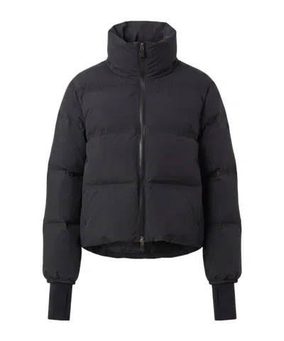 Herno Stand-collar Down Jacket In Black