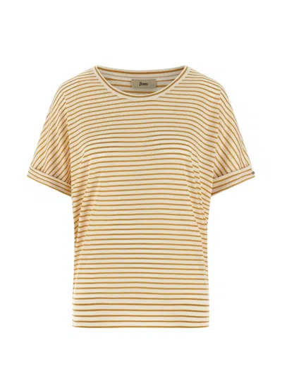 Herno Striped Cuffed-sleeves T-shirt In Yellow