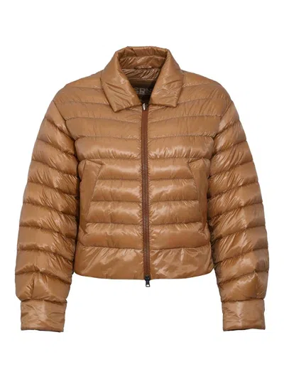 Herno Camel Ultralight Nylon Hood In Brown