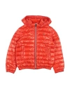 Herno Babies'  Toddler Boy Puffer Orange Size 6 Polyamide
