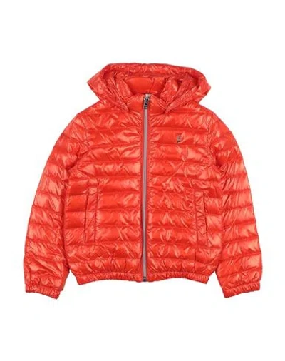 Herno Babies'  Toddler Boy Puffer Orange Size 6 Polyamide
