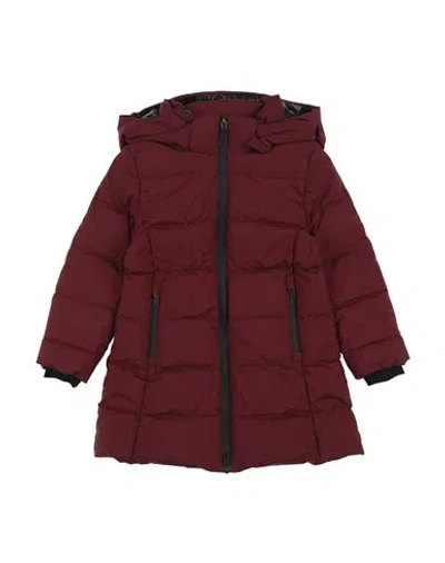 Herno Babies'  Toddler Girl Puffer Burgundy Size 6 Polyester, Ptfe - Polytetrafluoroethylene, Polyamide, Elas In Red