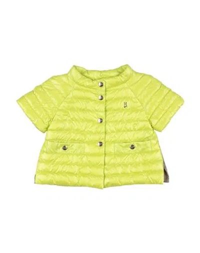 Herno Babies'  Toddler Girl Puffer Lime Green Size 6 Polyamide, Polyester, Cotton In Yellow