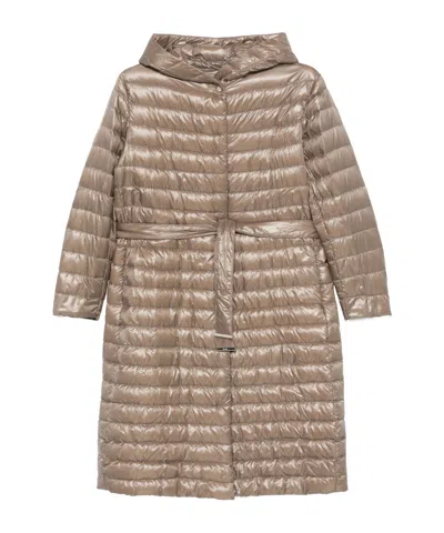 Herno Ultralight Coat In Brown