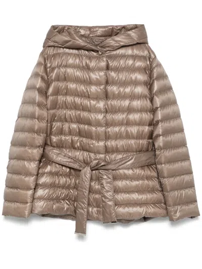Herno Ultralight Padded Jacket In Brown