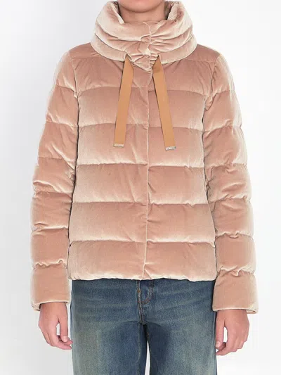Herno Stand Collar Down Jacket In Pink