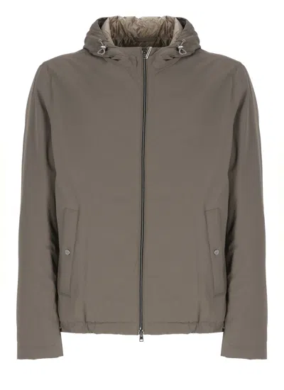 Herno Waterproof Jacket In Neutral