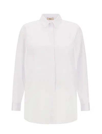 HERNO HERNO SHIRTS WHITE
