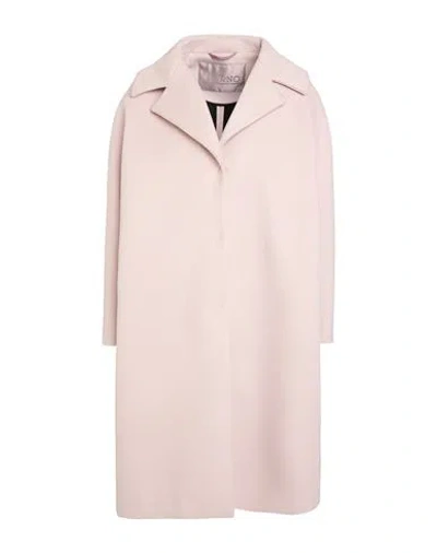 Herno Woman Coat Antique Rose Size 4 Wool, Cashmere In Multi
